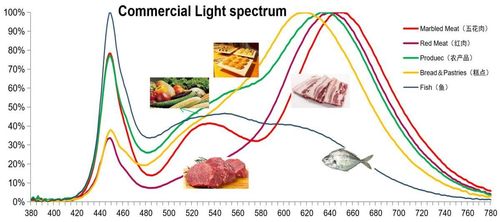 Dernières solutions de l'entreprise Éclairage commercial